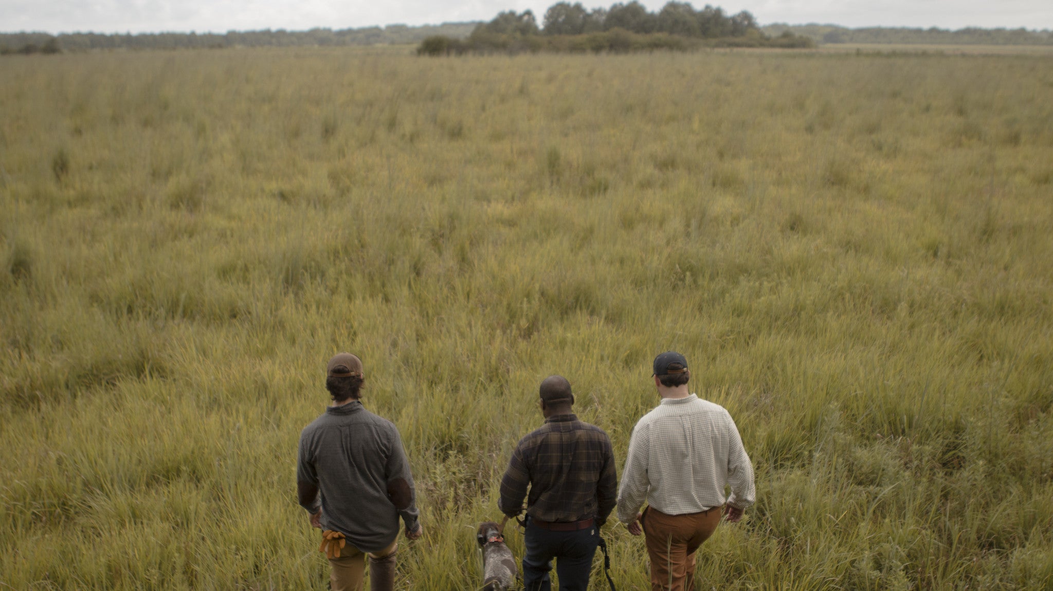 Quail Hunt | West Point, MS
