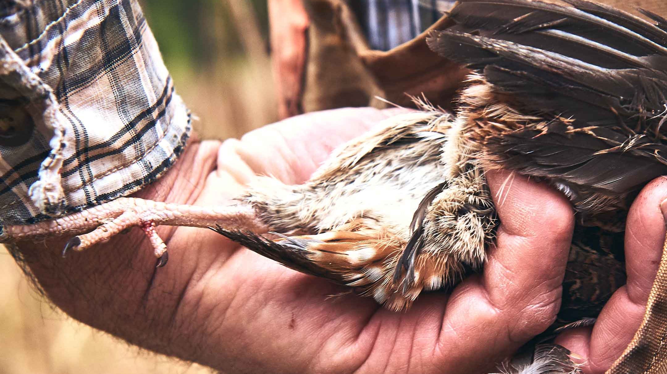 Black Friday & Cyber Week Promotions