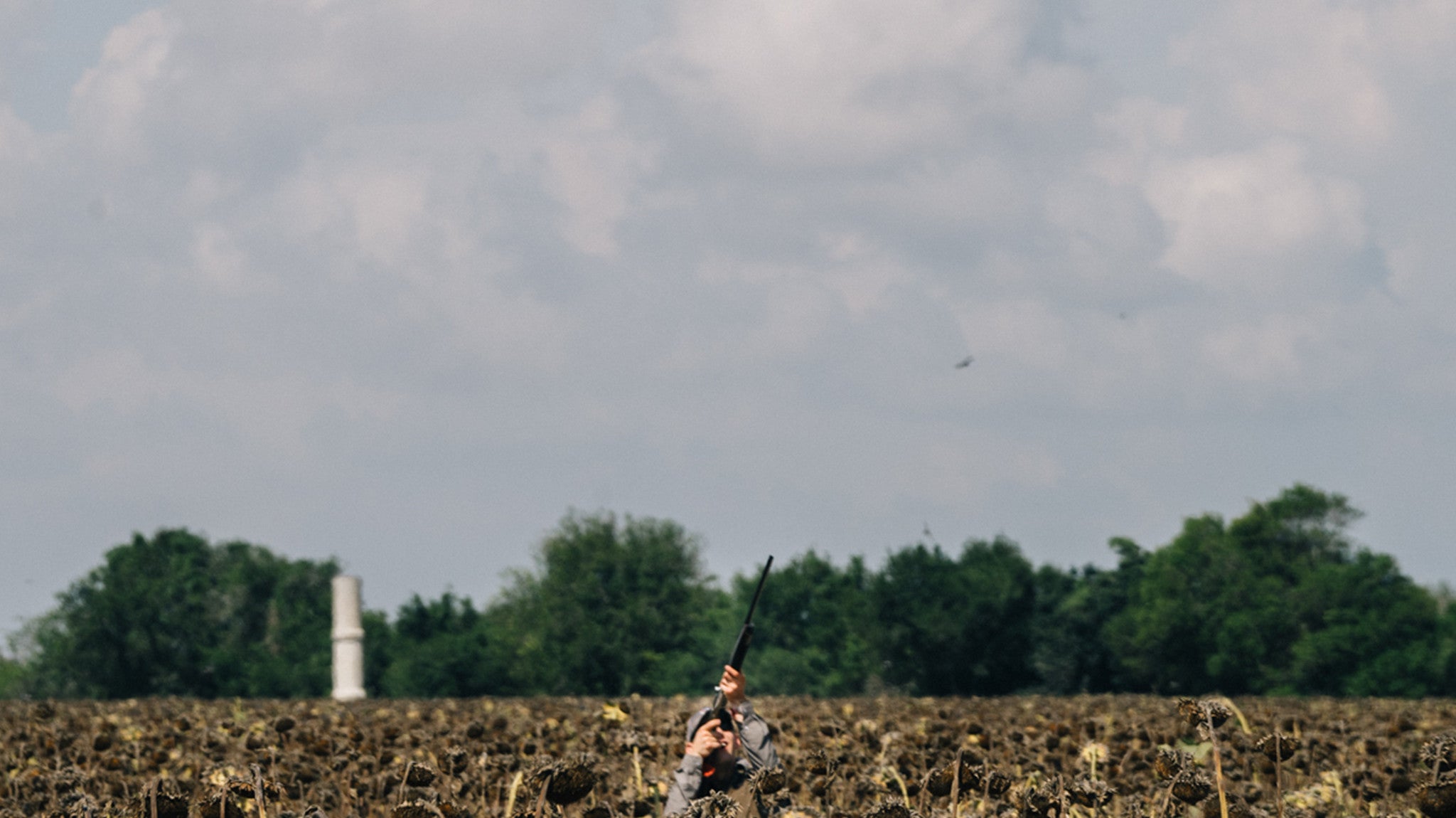 White-Wing Dove Opener