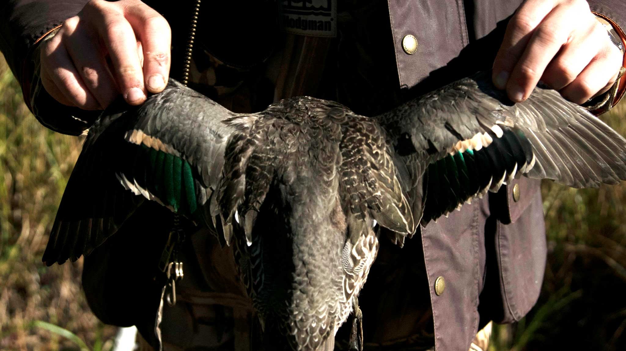 Duck Hunt Season Closer