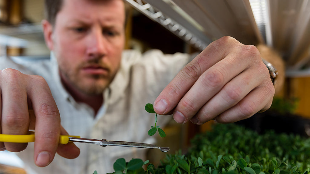 How To Guide: Hydroponic Gardening