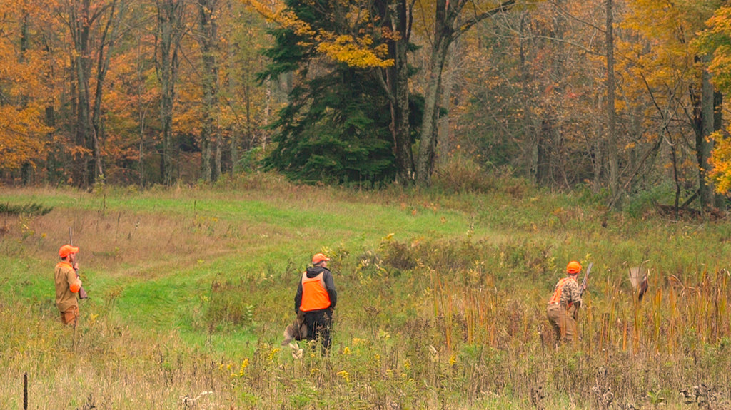 Michigan Pheasant Hunt