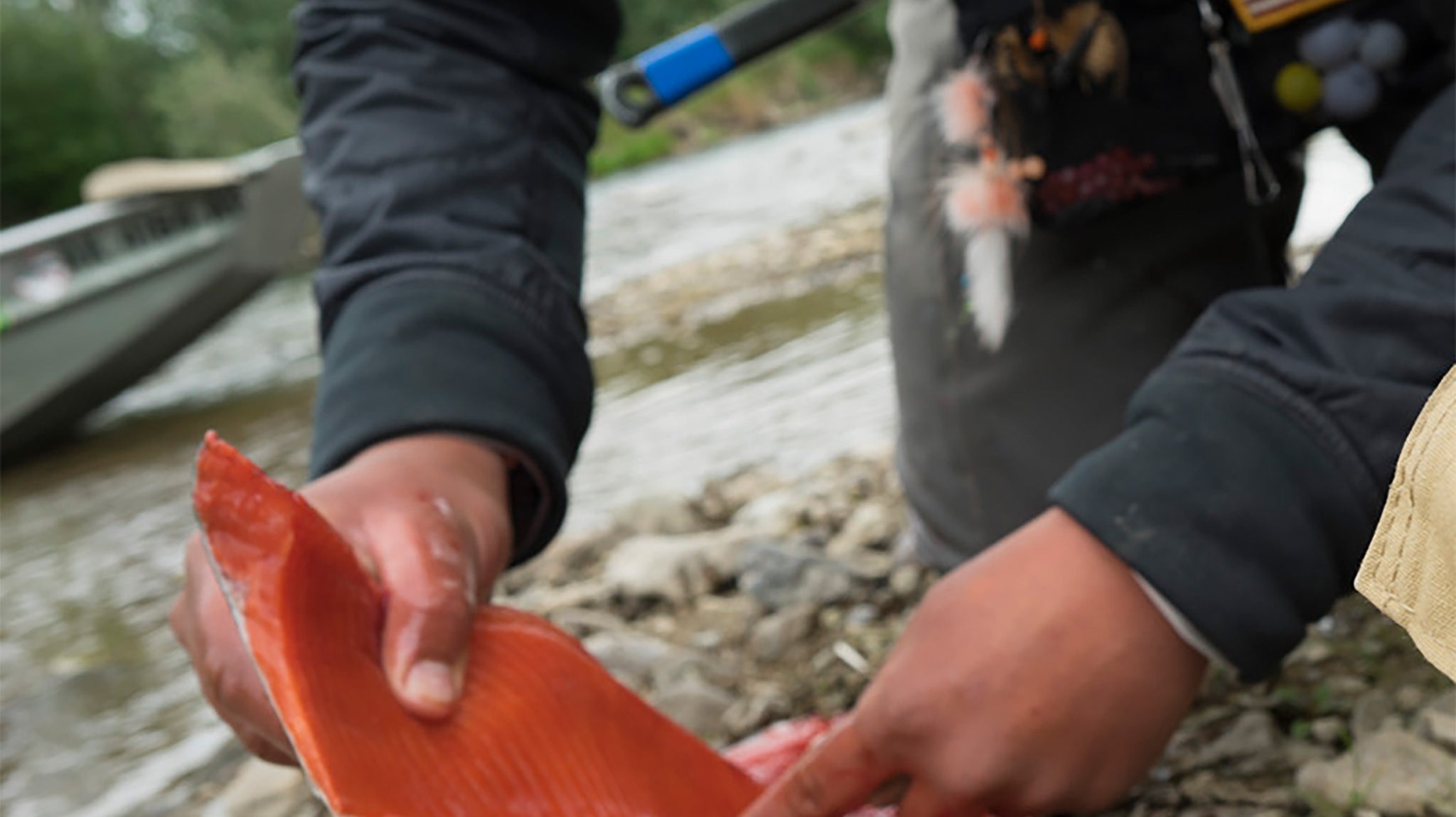 How-To Guide: Fillet a Fish