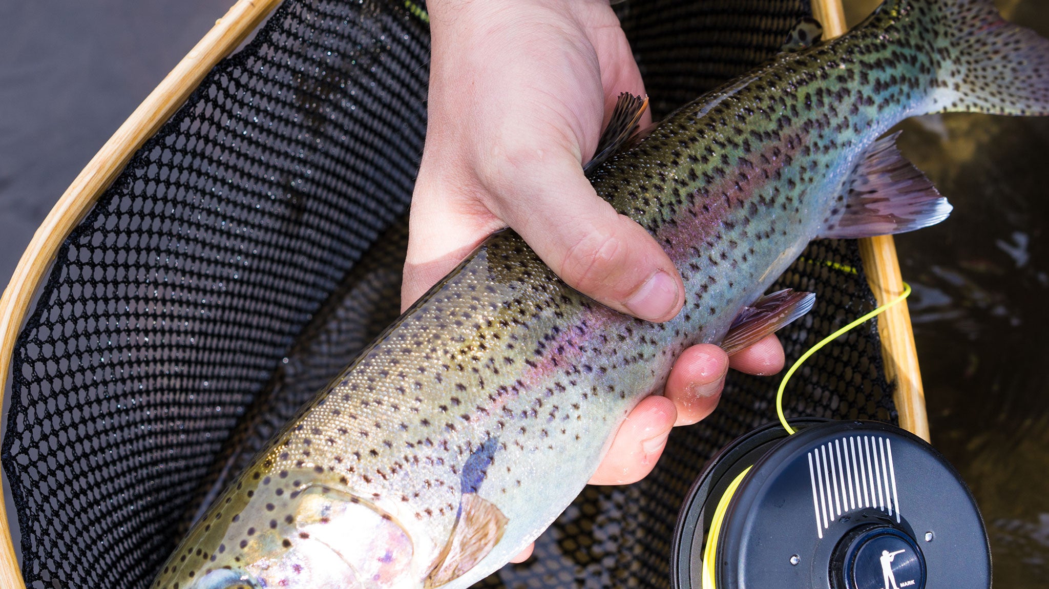 Wade Fishing | San Huberto Lodge Patagonia