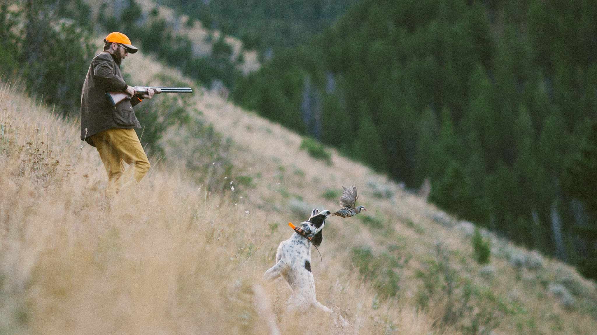 Chukar Hunt | Bridger Mountains, MT