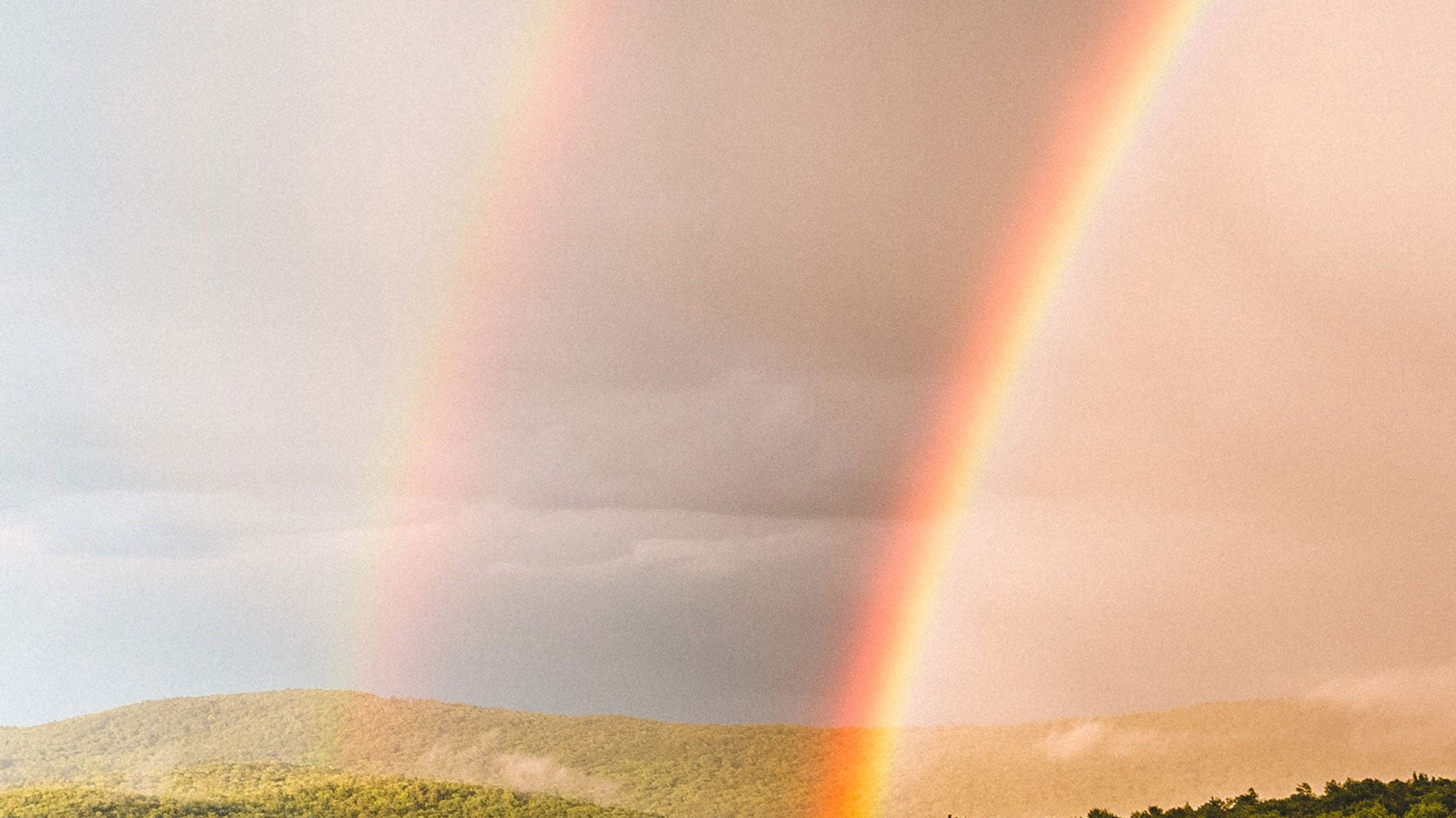 Ball and Buck 2017 Company Retreat