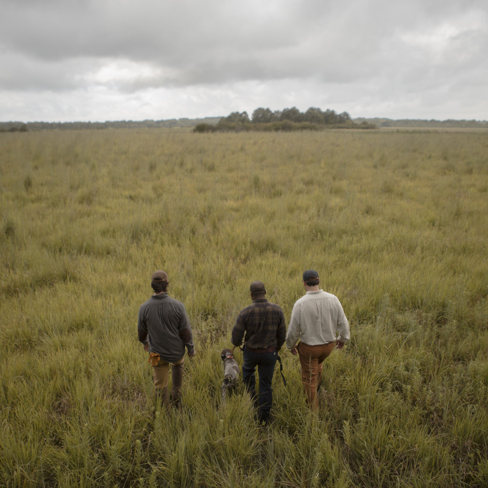Quail Hunt | West Point, MS