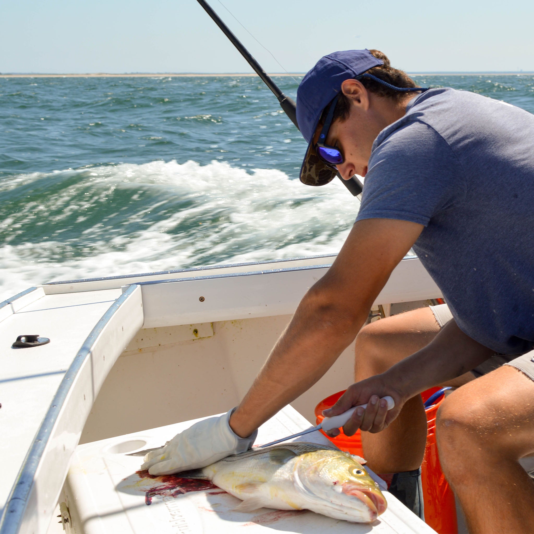 Cape Cod Striper Fishing