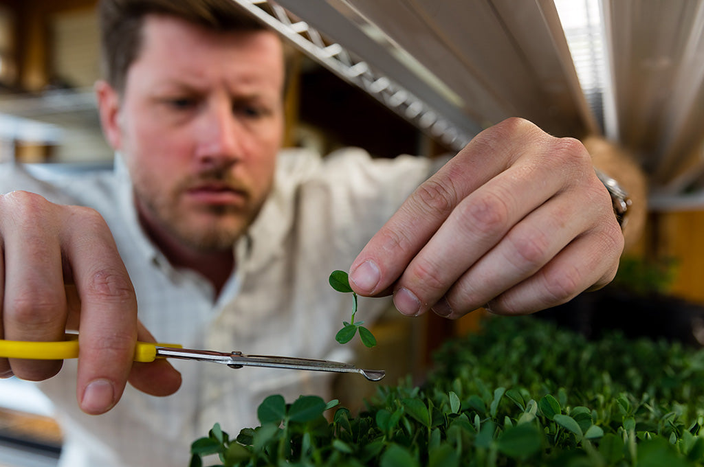 How To Guide: Hydroponic Gardening