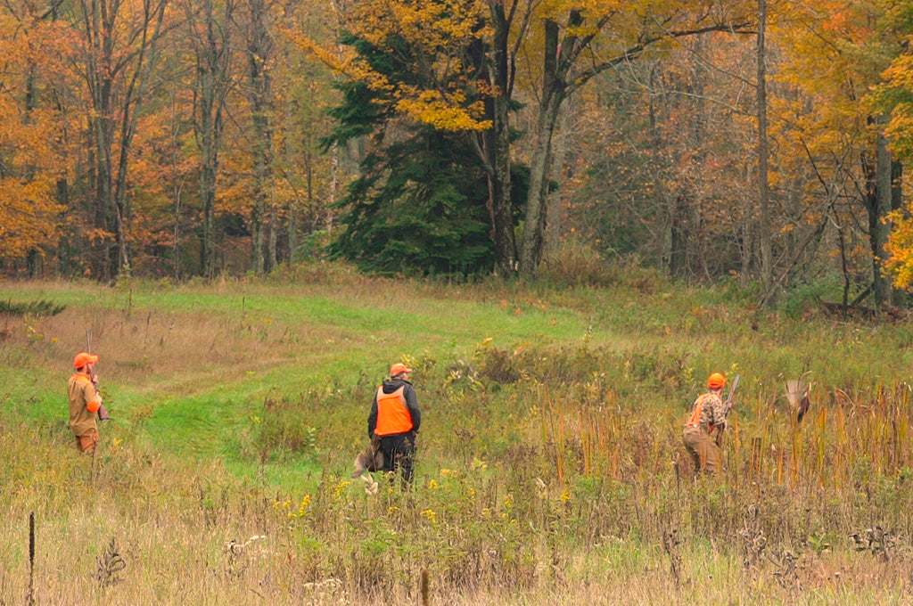 Michigan Pheasant Hunt