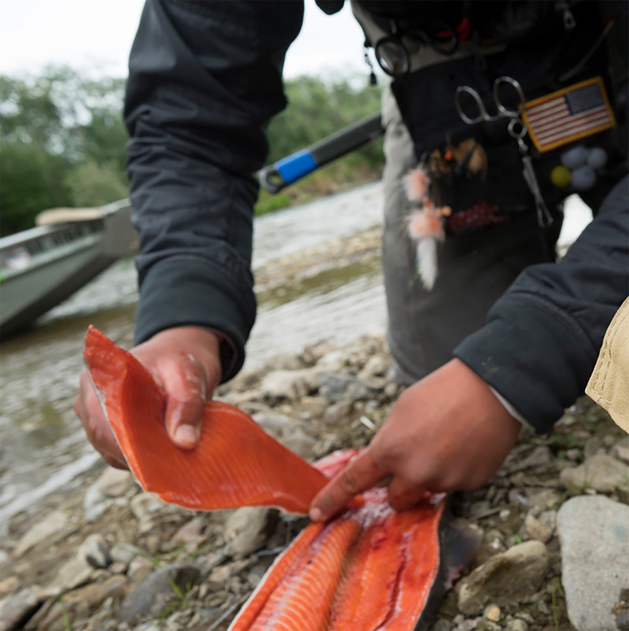 How-To Guide: Fillet a Fish