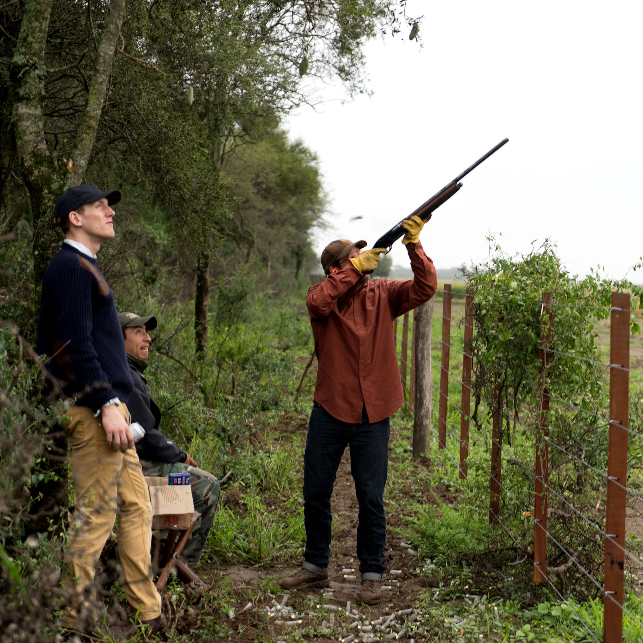 Dove Hunting in Argentina