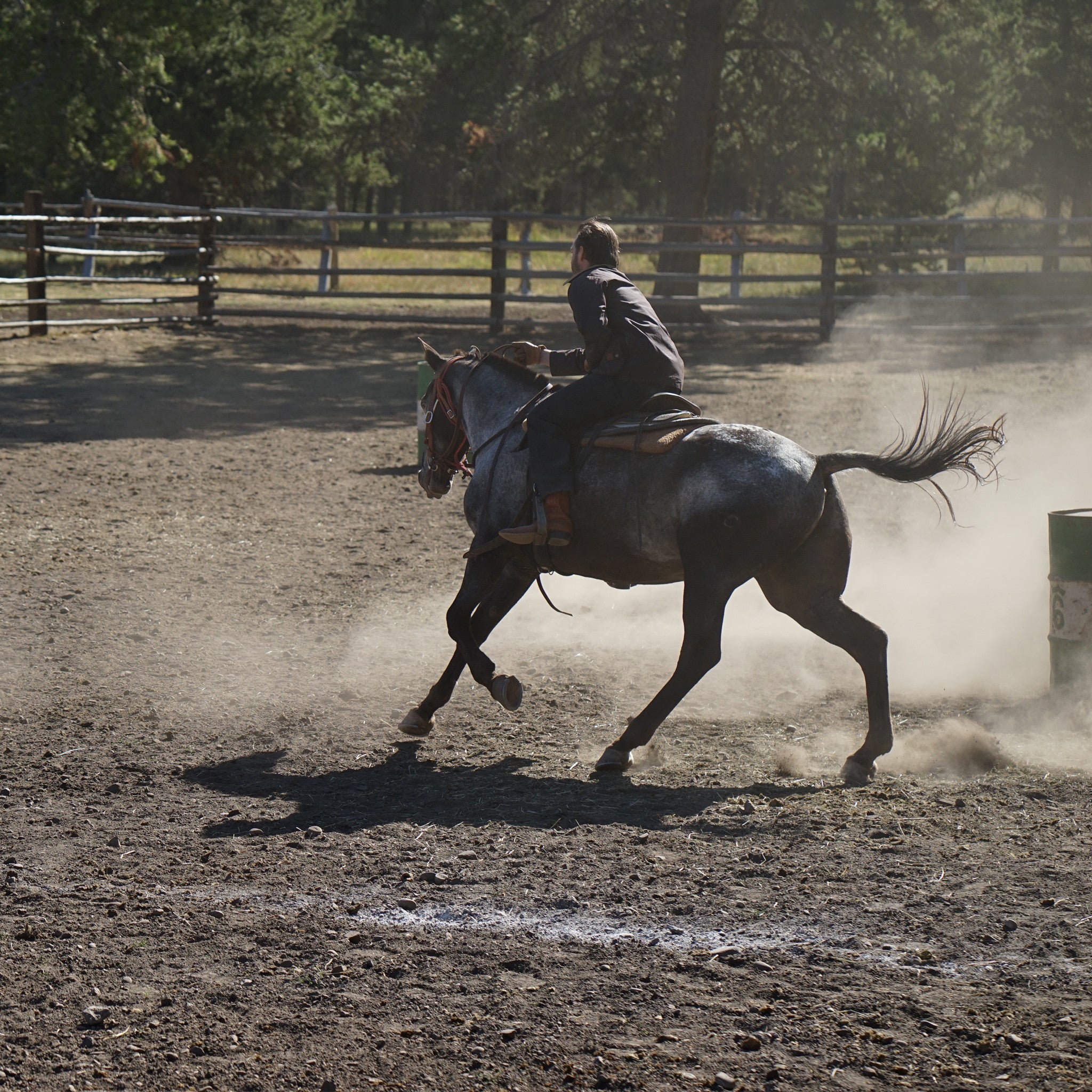 Our Visit to Nine Quarter Circle Ranch