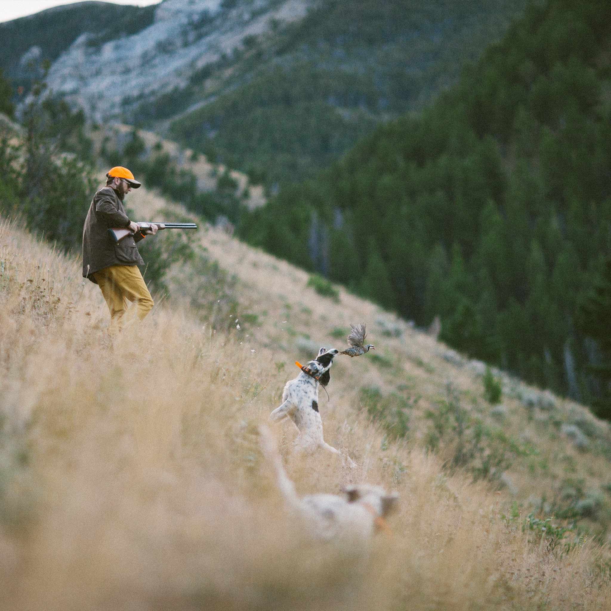 Chukar Hunt | Bridger Mountains, MT