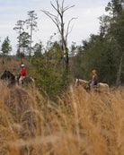 Georgia Quail Hunt Signature Expedition February 25th-28th, 2022 - Ball and Buck