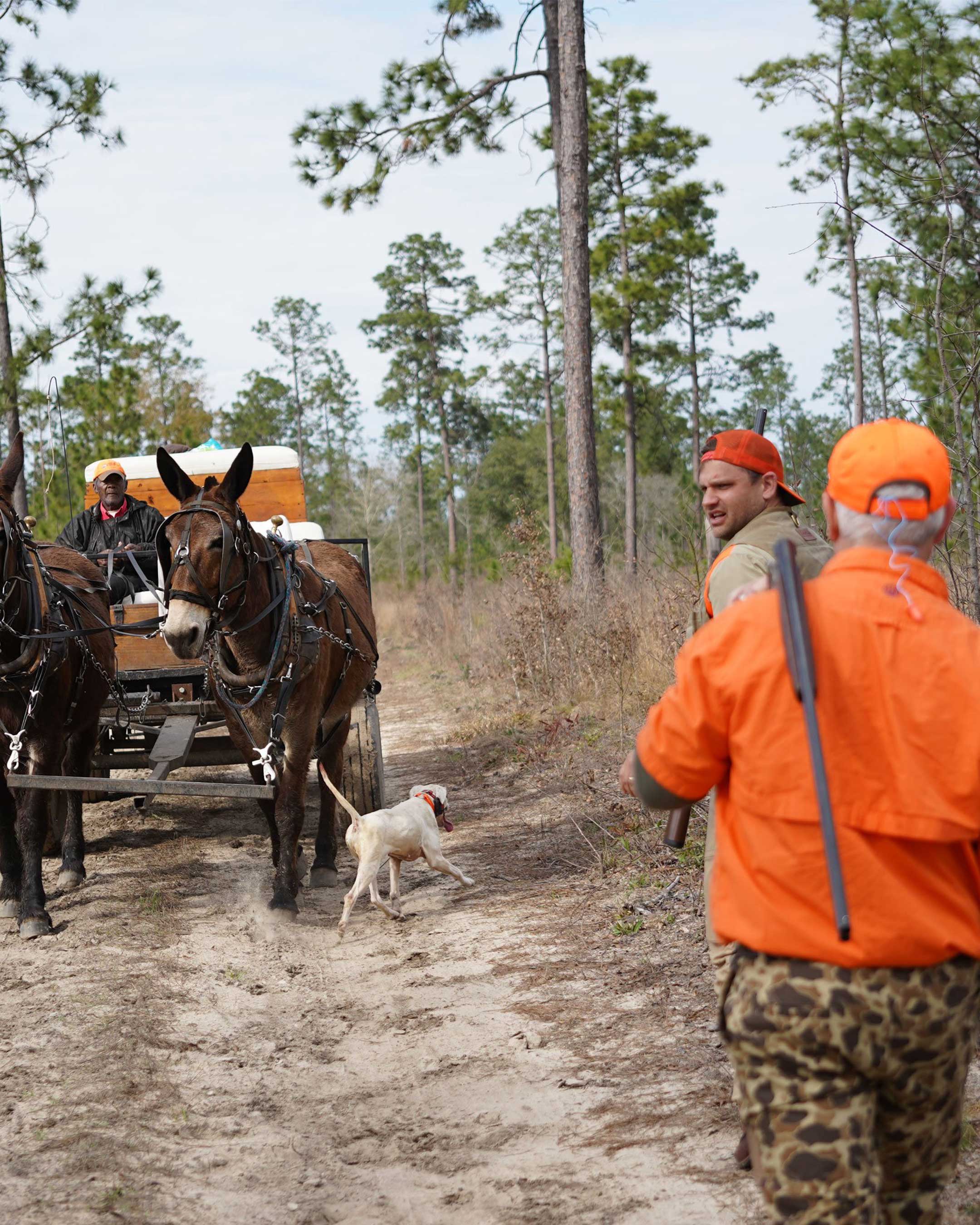 Georgia Quail Hunt Signature Expedition February 25th-28th, 2022 - Ball and Buck