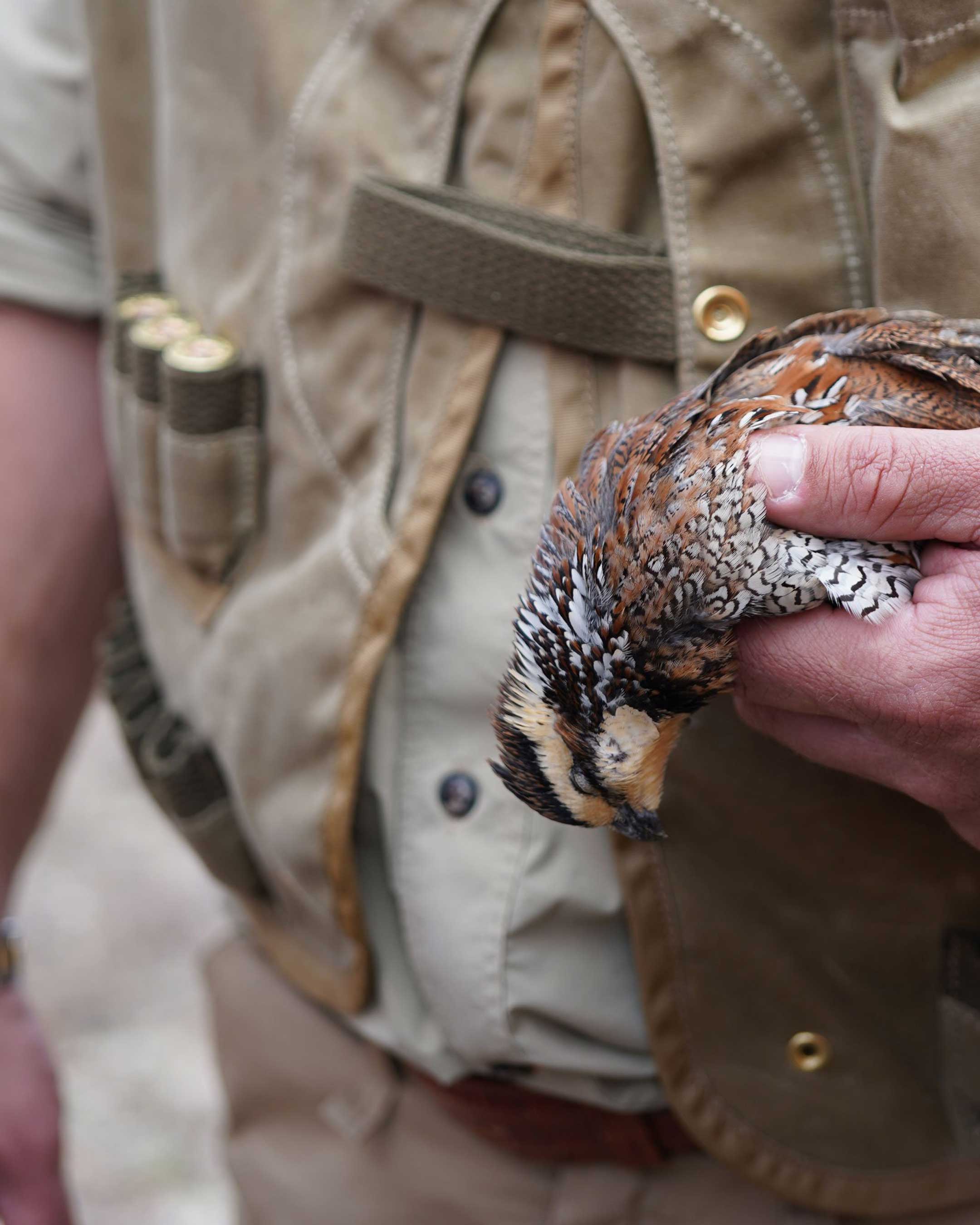 Georgia Quail Hunt Signature Expedition February 25th-28th, 2022 - Ball and Buck