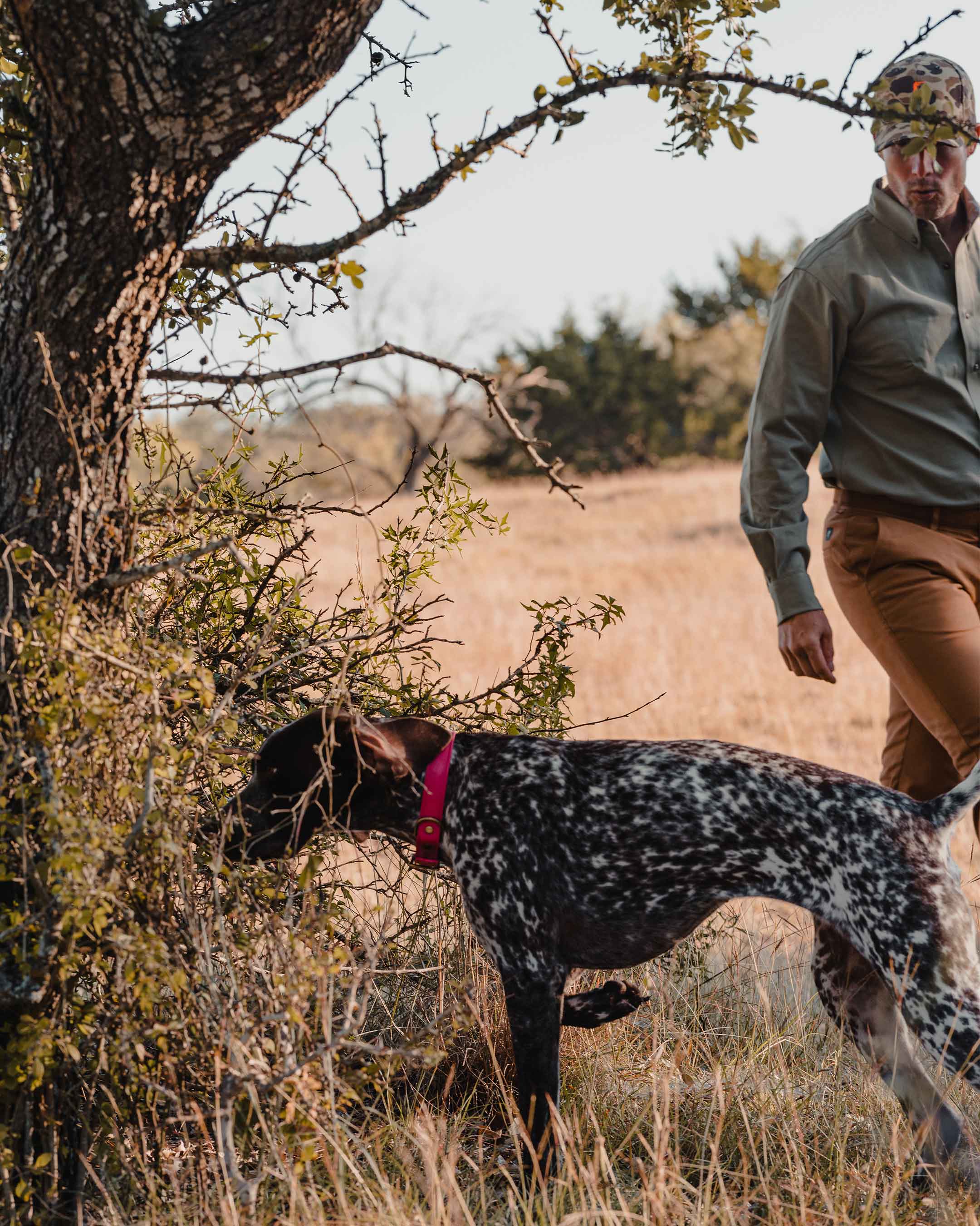 The Scout Shirt in Weathered Moss - Ball and Buck